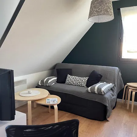 Apartment Magnifique Avec Mezzanine Pres Thalasso Cabourg